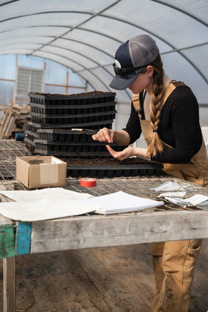 Sowing seeds in modules on potting table